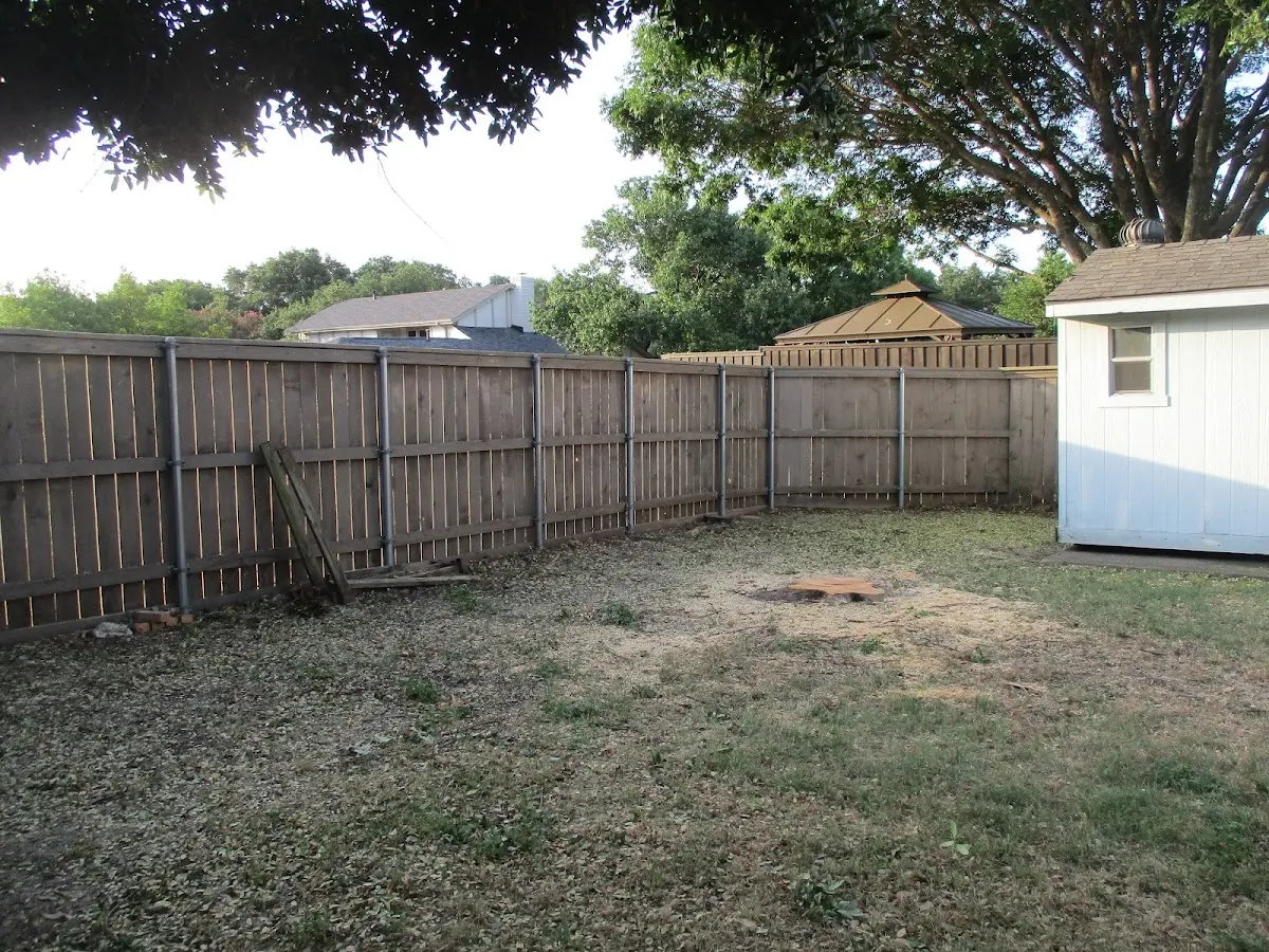 Cleared yard after professional tree removal in Collegeville